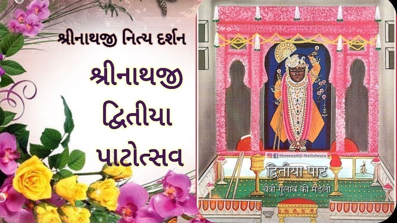 Shrinathji Dwitiya Patotsav | શ્રીનાથજીનો દ્વિતીય પાટ ઉત્સવ અને સેવારિતી #patotsav 