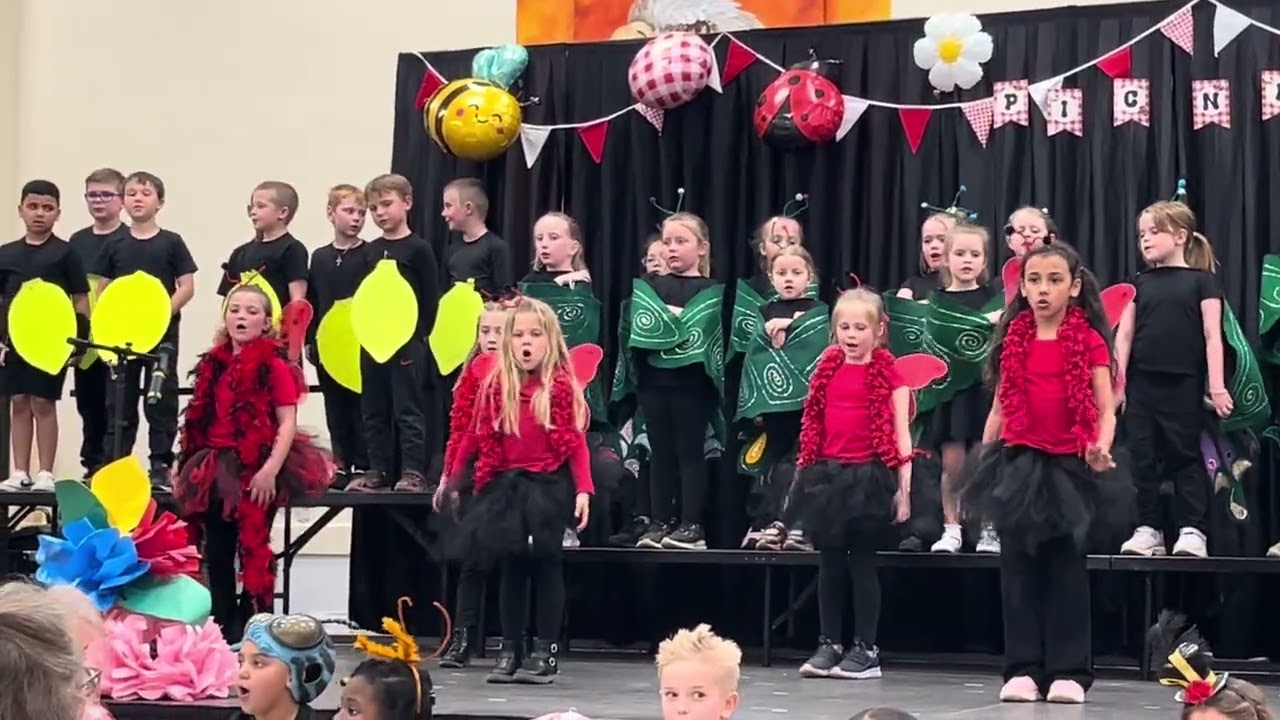 Ladybug song 