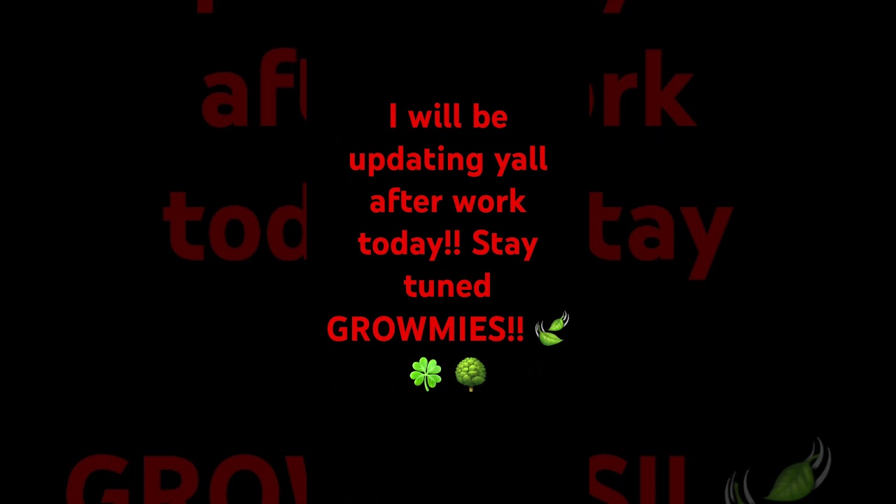 Update Coming This Evening!! #nothingforsale #garden #cannabisdaily