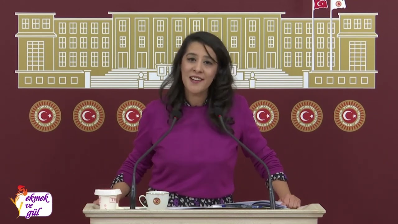 EMEP Milletvekili Sevda Karaca: ‘11. Yargı Paketi faşizmin zapturapt belgesidir’