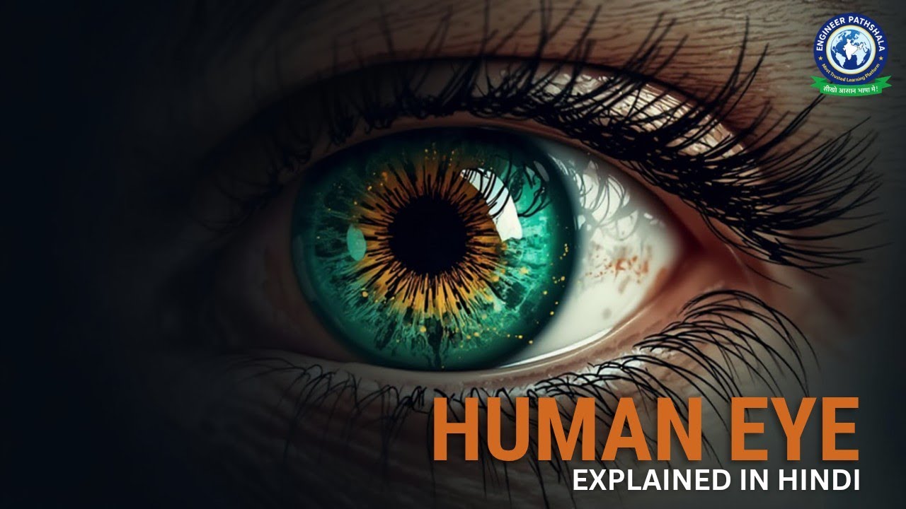 Human Eye and the Colourful World Class 10 | Complete Concept One Shot | NCERT Covered 