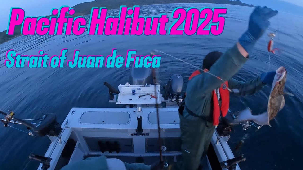 Halibut Fishing Sekiu / Neah Bay - MA 4, Day 2