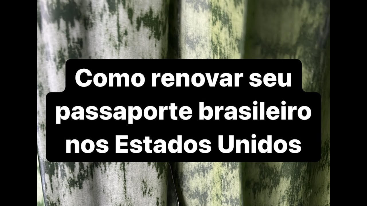Como renovar seu passaporte brasileiro nos Estados Unidos