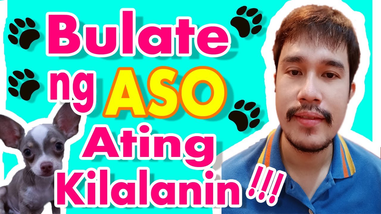 Bulate ng Aso Ating Kilalanin!!! | MasterVet