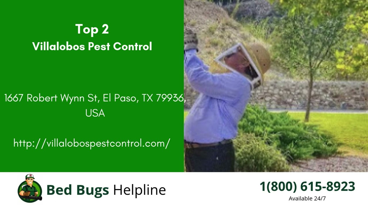 Top 3 Bed Bug Removal in El Paso