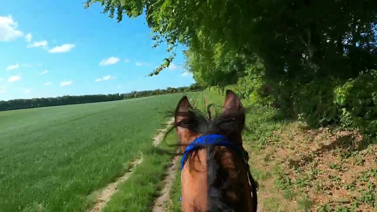 Breamore 34km