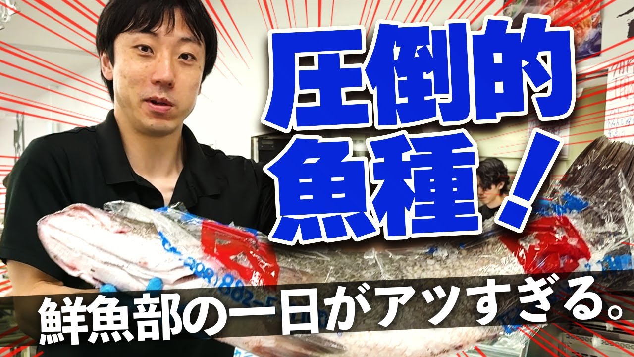 巨大クエをさばけ！圧倒的魚種と熱気に迫る【鮮魚部密着】