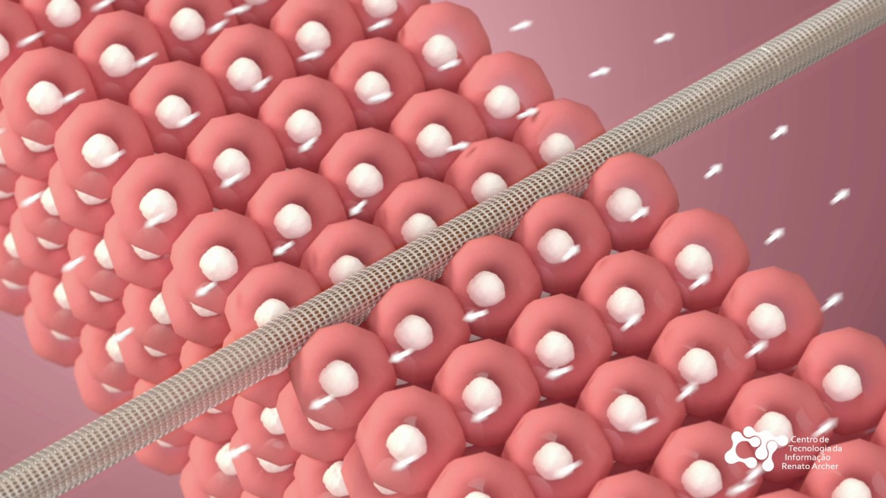 Organs Bioprinting – 4th Bioreactor