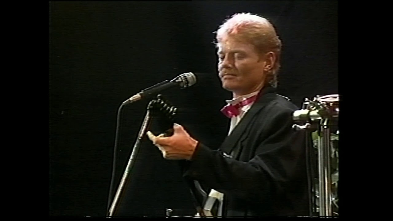 Sømand af verden - The Donkeys