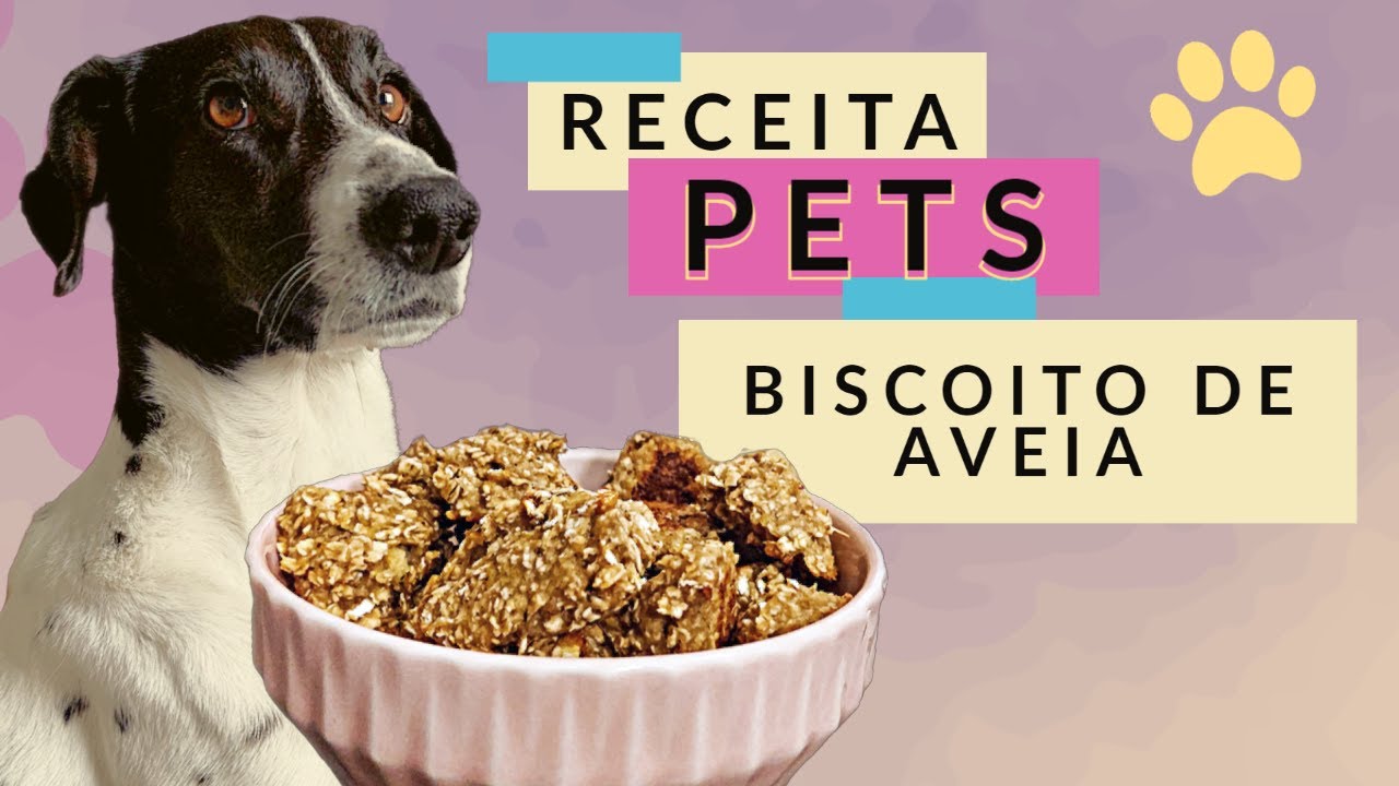 COMO FAZER BISCOITO PARA CACHORRO 🐶 - FÁCIL E BARATO