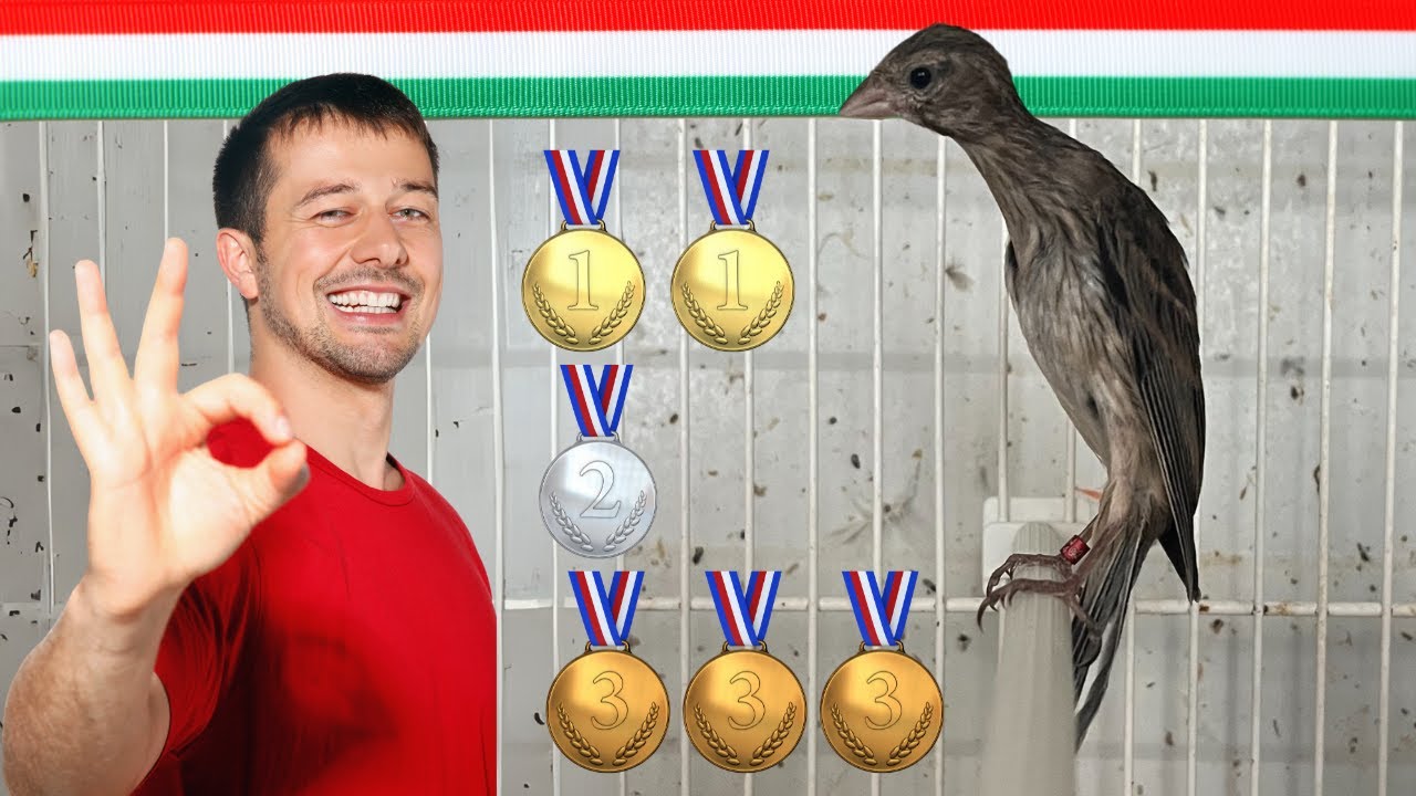 🏆 CAMPEON EN ITALIA DE NUEVO CON 🐣 HOSSO JAPONES