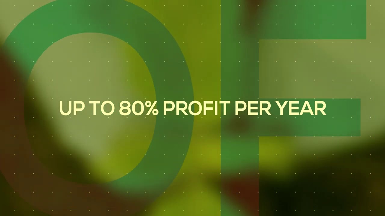 CannerGrow - This is Your Chance