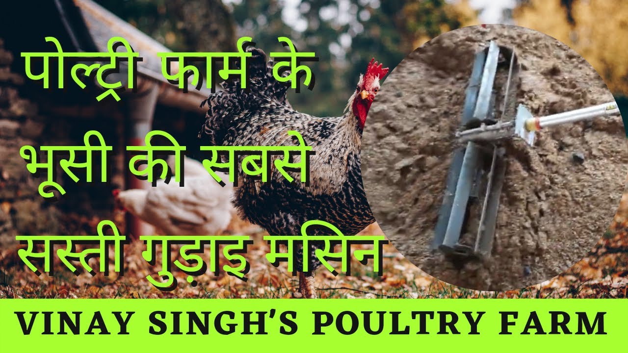 पोल्ट्री फार्म के भूसी की सबसे सस्ती गुड़ाइ मसिन । Cheapest raking machine of poultry farm