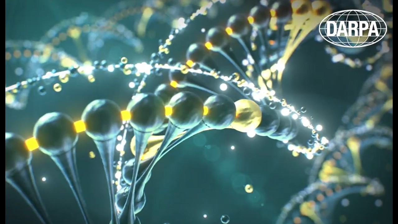PROSE: Protein Sequencing
