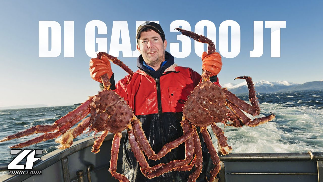 Menangkap Kepiting Raja Alaska, Banyak Nelayan yang mati | Tapi Digaji 300 Juta perbulan