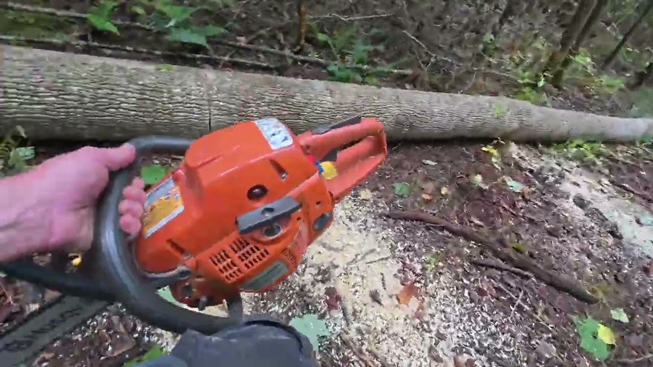 Timber Takedown: Poplar Tree for Milling