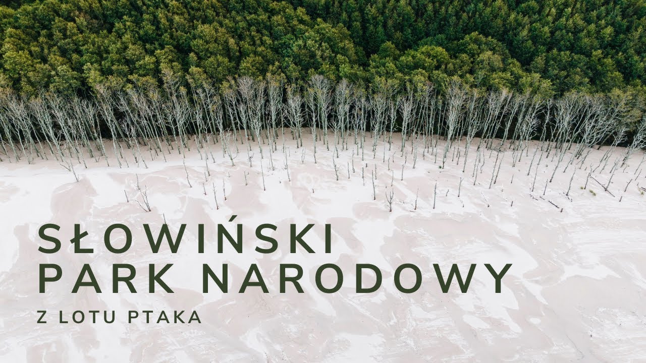 Słowiński Park Narodowy z lotu ptaka / 4K
