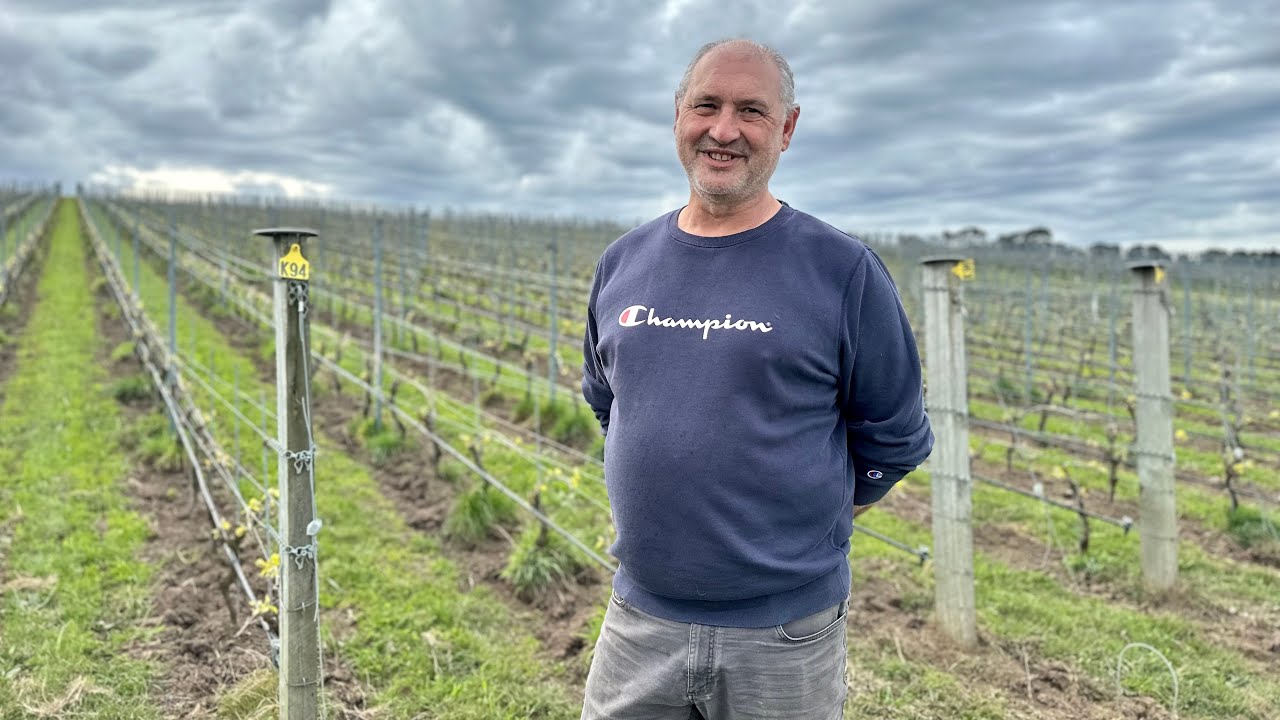 Sense of Place: High-density wine-growing at Elanto Vineyard