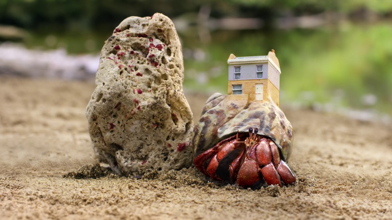 Zoopla TV advert  - Crab World (60 seconds)