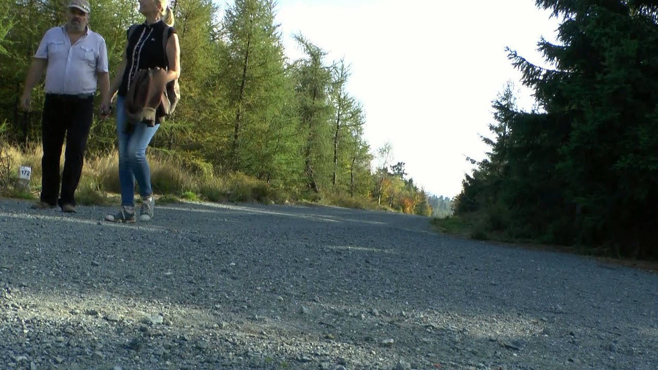 Jagodna 977m npm - KORONA G&Oacute;R POLSKI - G&oacute;ry Bystrzyckie