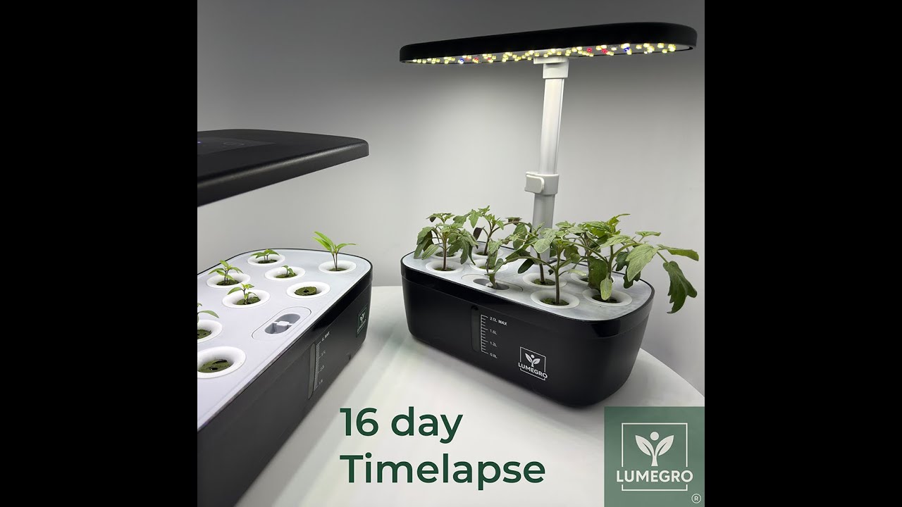 16 d short timelapse