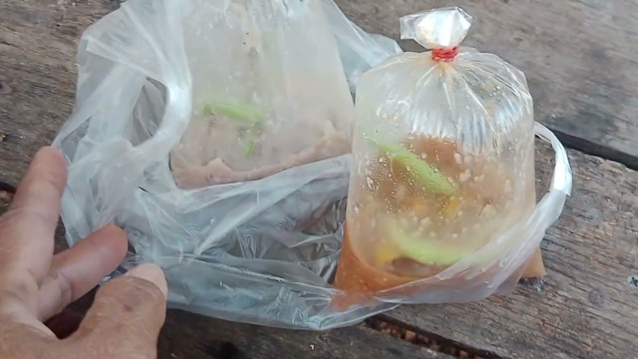 เช้าๆผิงไฟย่างข้าวโพดกินร้อนๆ!!3ฝักใหญ่ๆ20บาท