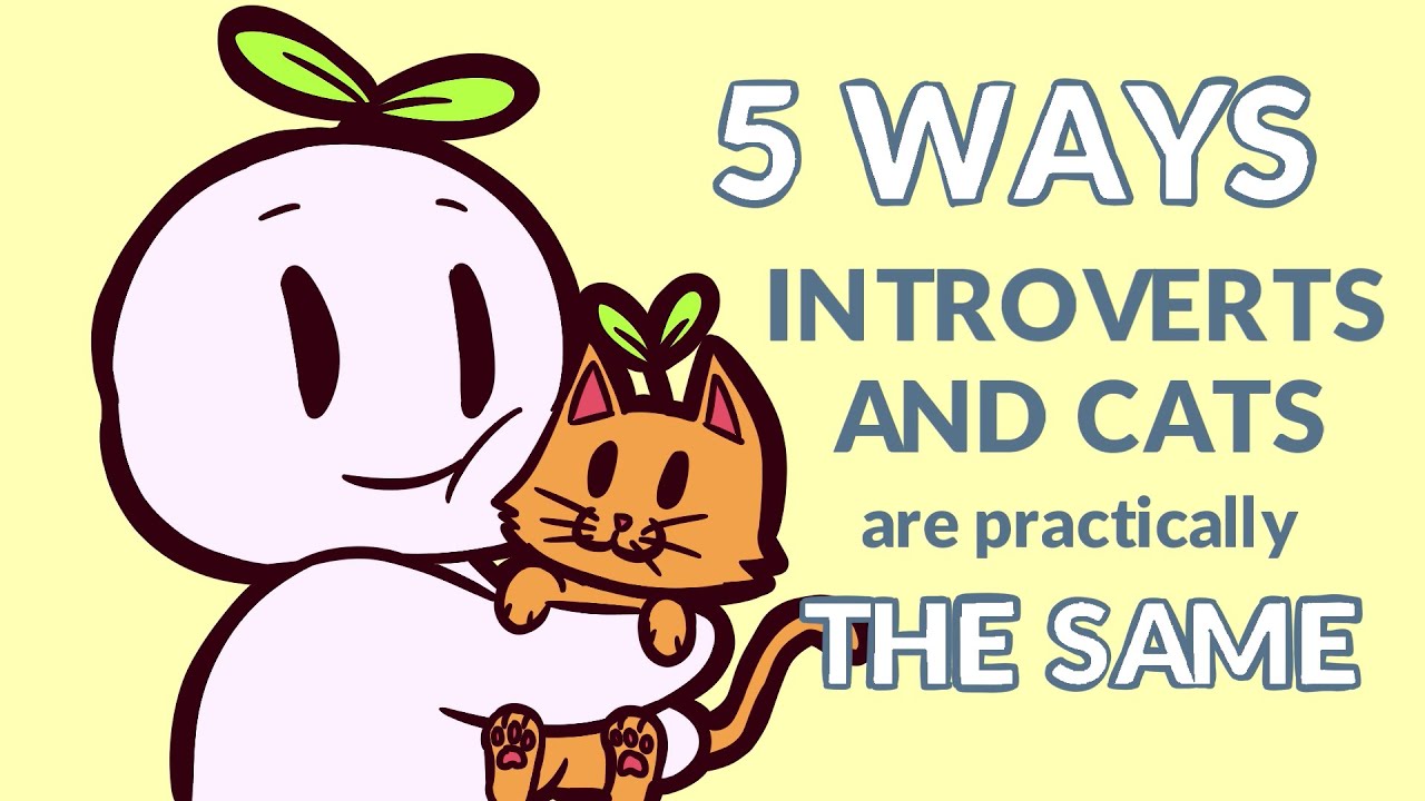 5 Ways Introverts And Cats Are Exactly the Same
