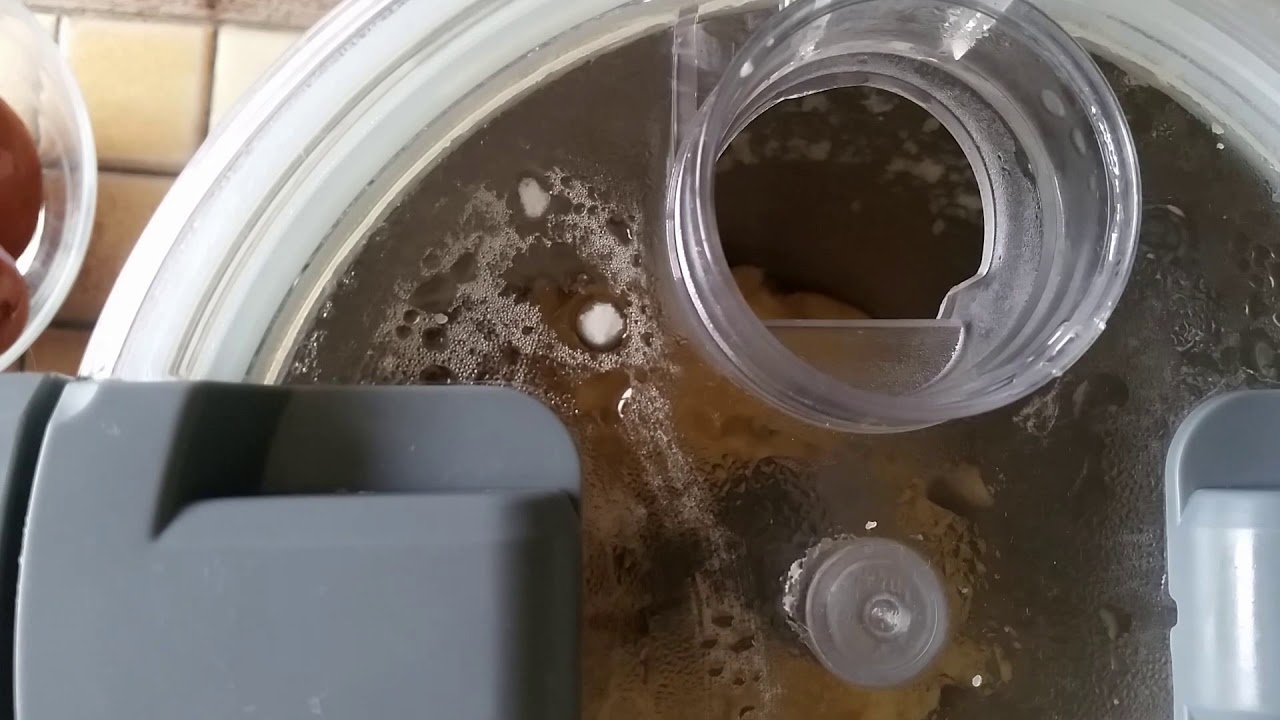 Pâte à choux pas à pas au Compact Cook Elite
