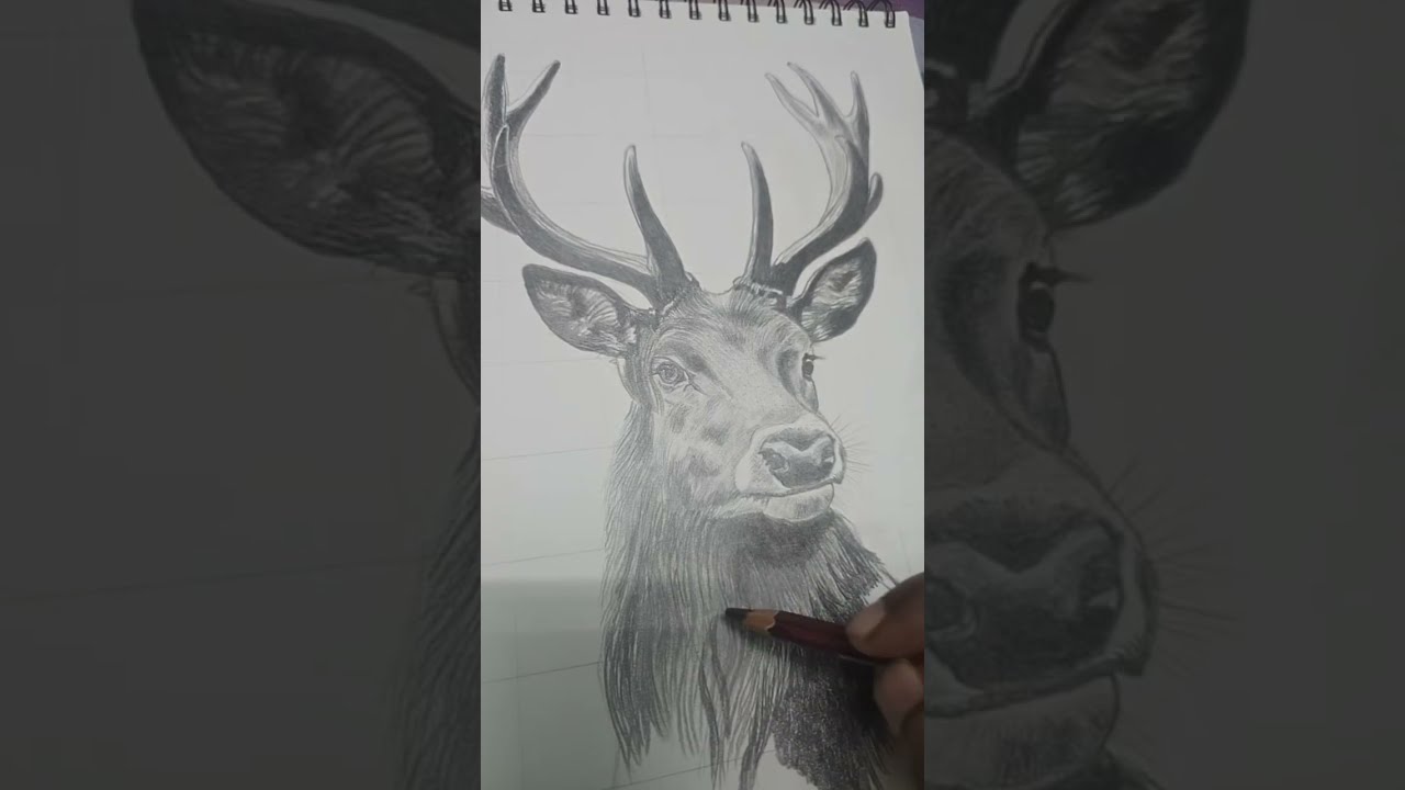 Deer art #viral #live 