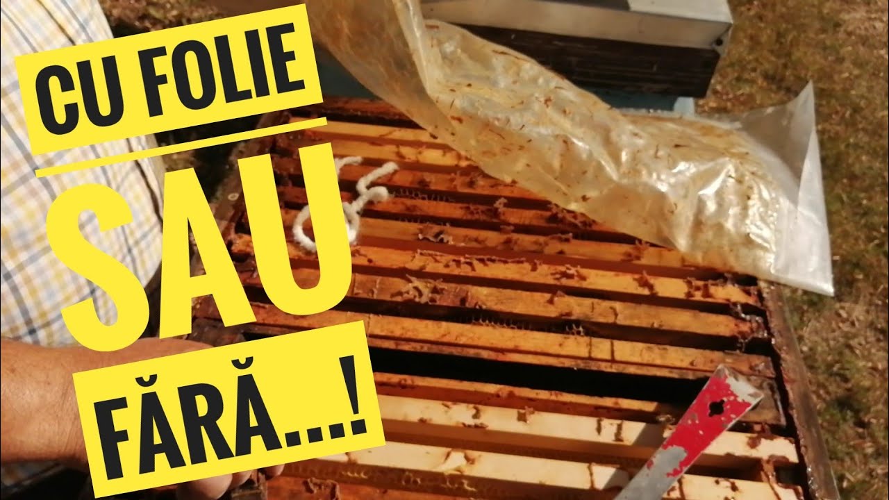 Folosim folia peste cuib?