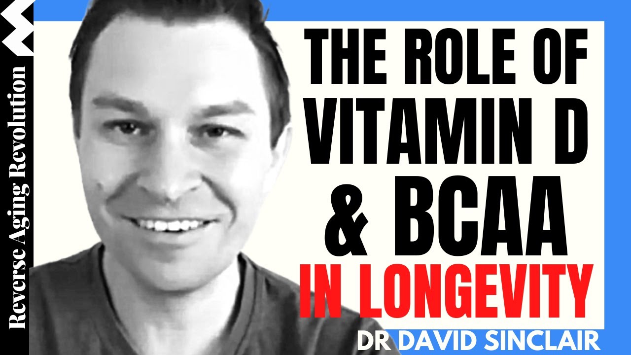 The Roles Of Vitamin  D & BCAA IN LONGEVITY | Dr David Sinclair Interview Clips