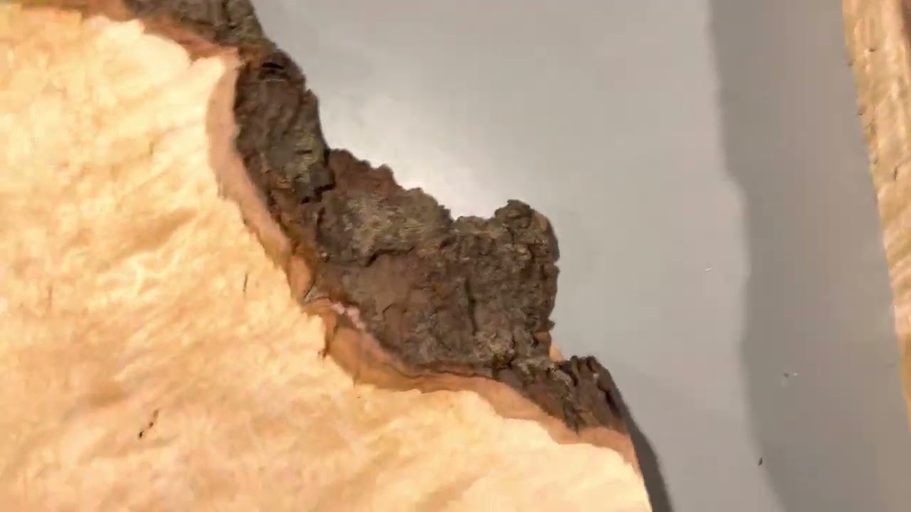Hard Figured Maple Walk Through Educational Video