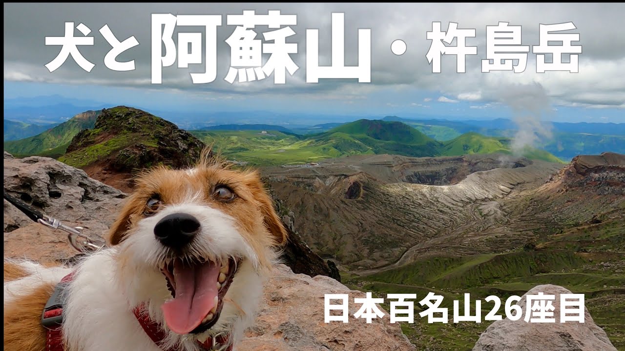 【犬と日本百名山㉖】ジャックラッセルテリアと阿蘇山・杵島岳 / hike with dog in Japan jack russell terrier