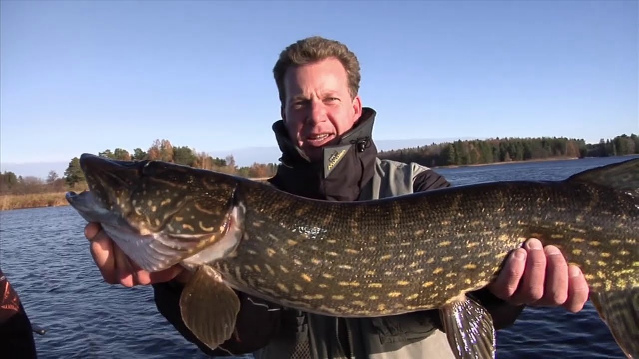 FISH M: The Pike Fight at Dalalven (Fiskedrag S05)