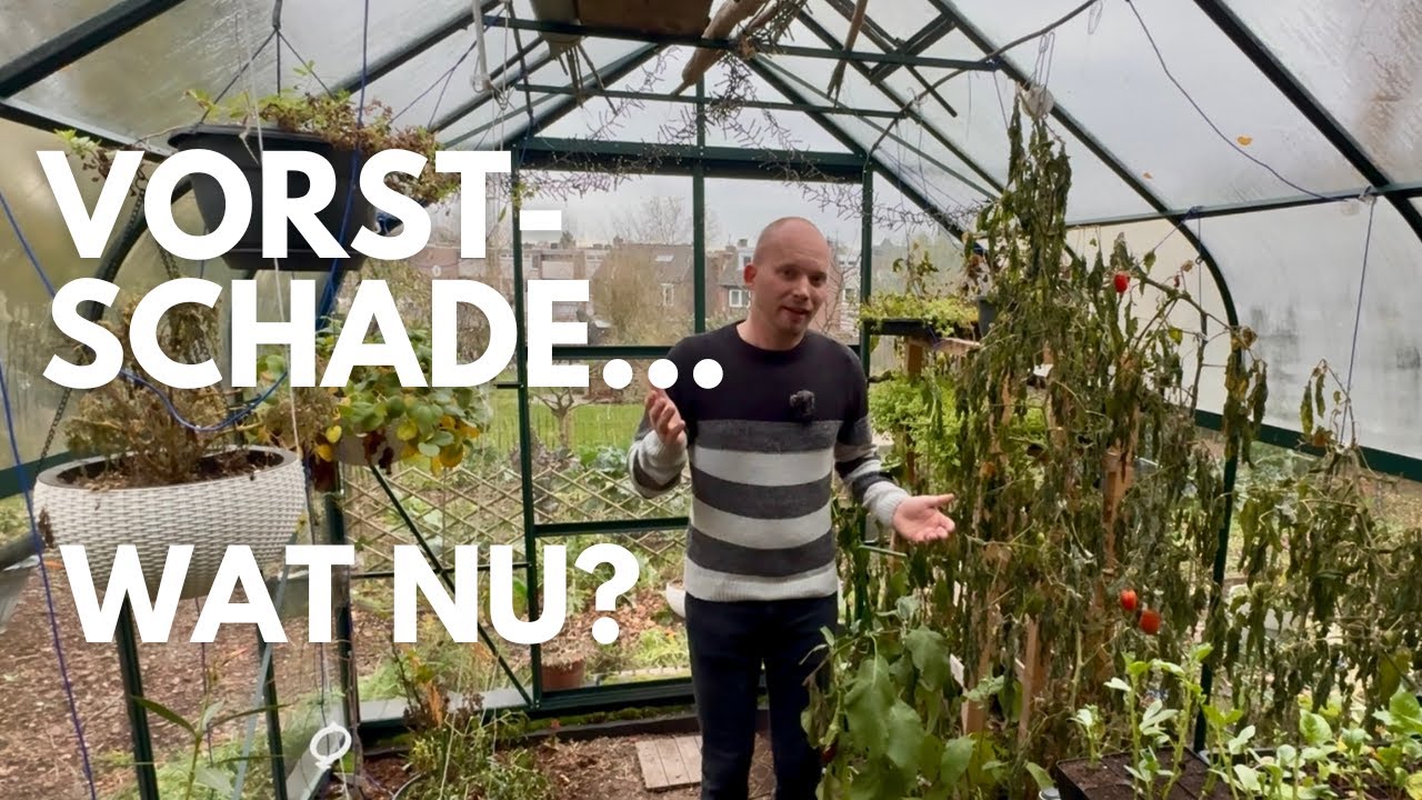 Kas Opruimen in November | 🥶Vorstschade, wat nu? Tips & Wat Je Nog Kunt Zaaien | De Moesketier