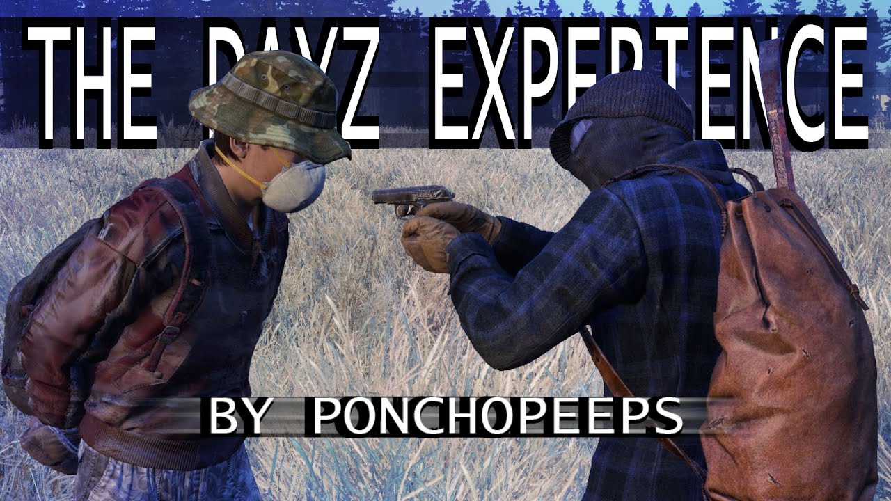 THE DAYZ EXPERIENCE - PVP/FUNNY/PC