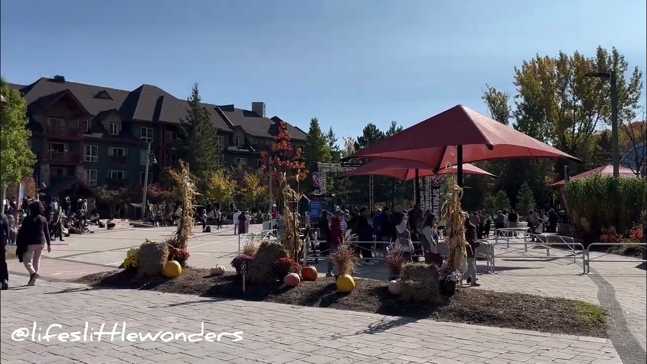 BEAUTIFUL CANADA ❤️🇨🇦🤍🍁 