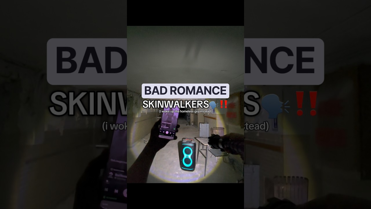 ВКЛЮЧАЮ &laquo;Bad Romance&raquo; Леди Гаги для скинвокеров