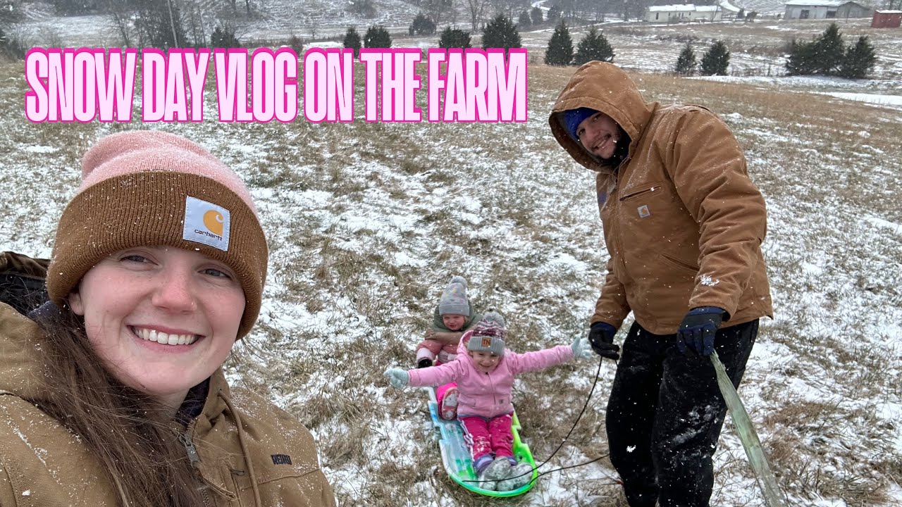 Snow Day Farm Vlog | Feeding Cattle & Morning Chores