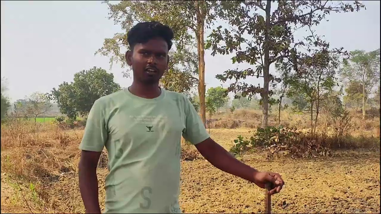 Toh aaj hum banaenge tree house #dailyvlog 