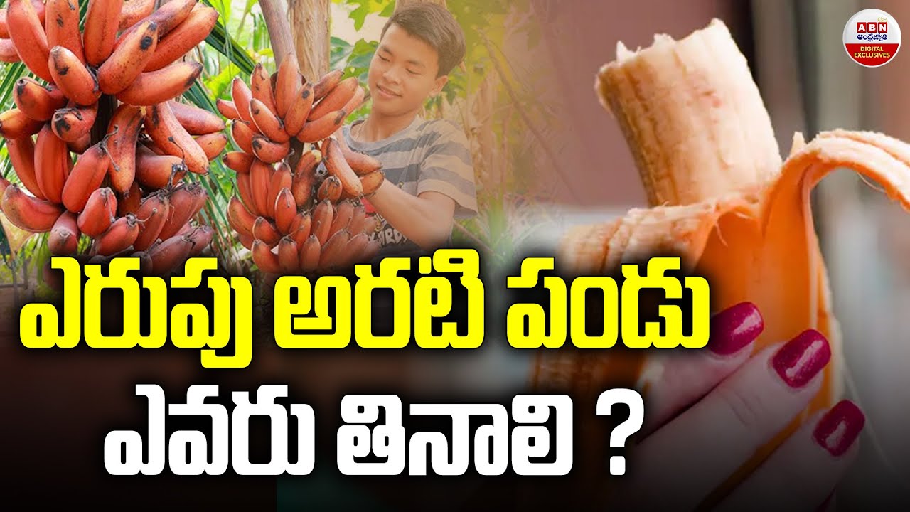 ఎరుపు అరటి పండు ఎవరు తినాలి | Amazing Health Benefits Of Red Banana | ABN Digital Exclusive