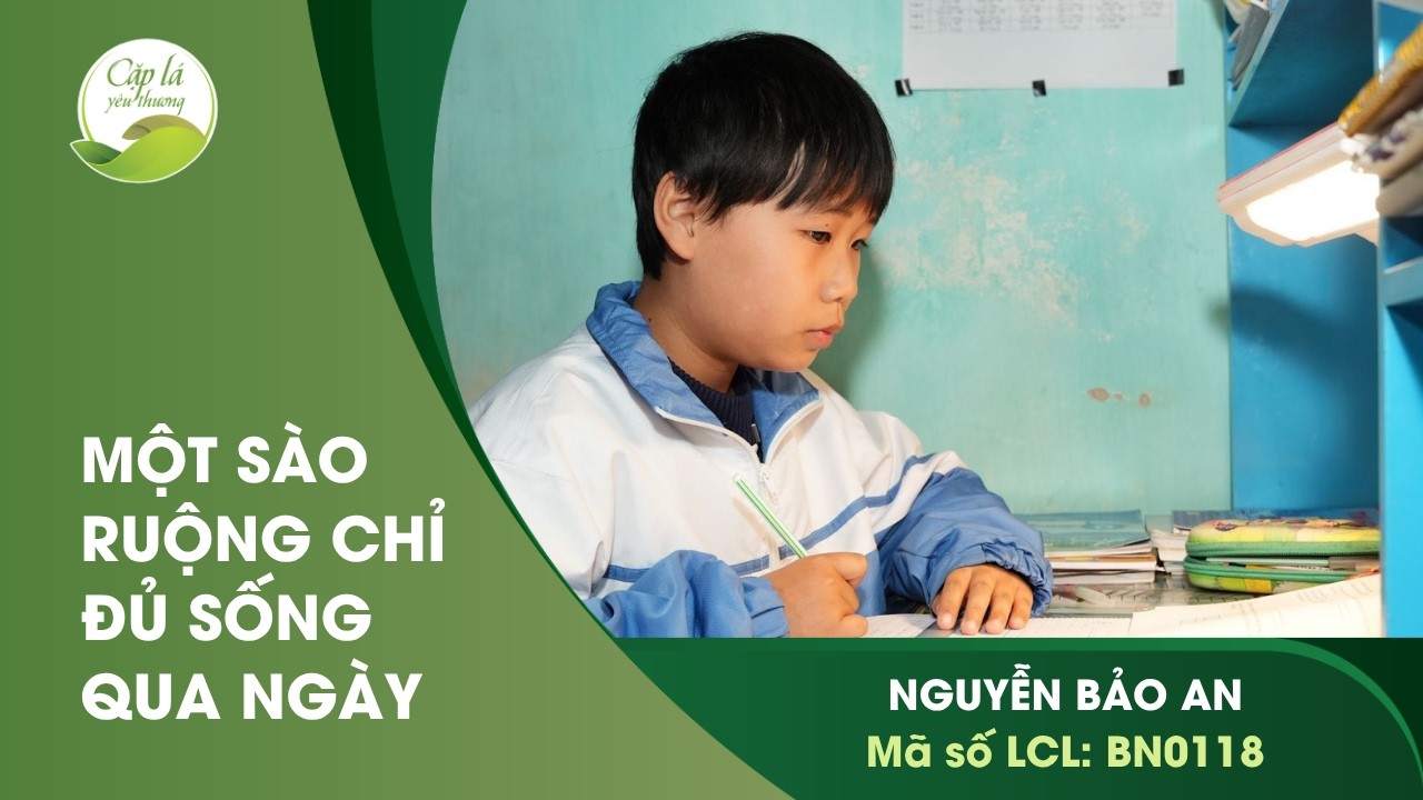 BẮC NINH | NGUYỄN BẢO AN - BN0118 - 17.01.2026 | CLYT