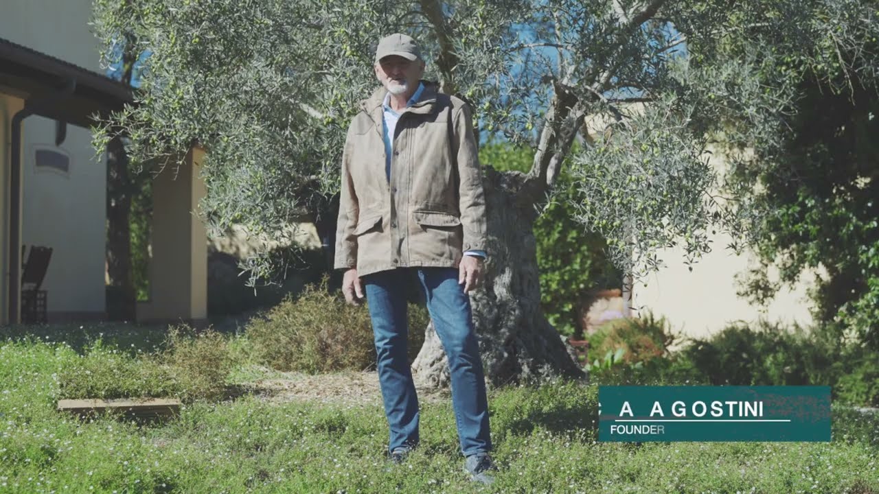 Erigeron karvinskianus: Alternativa al prato all'inglese