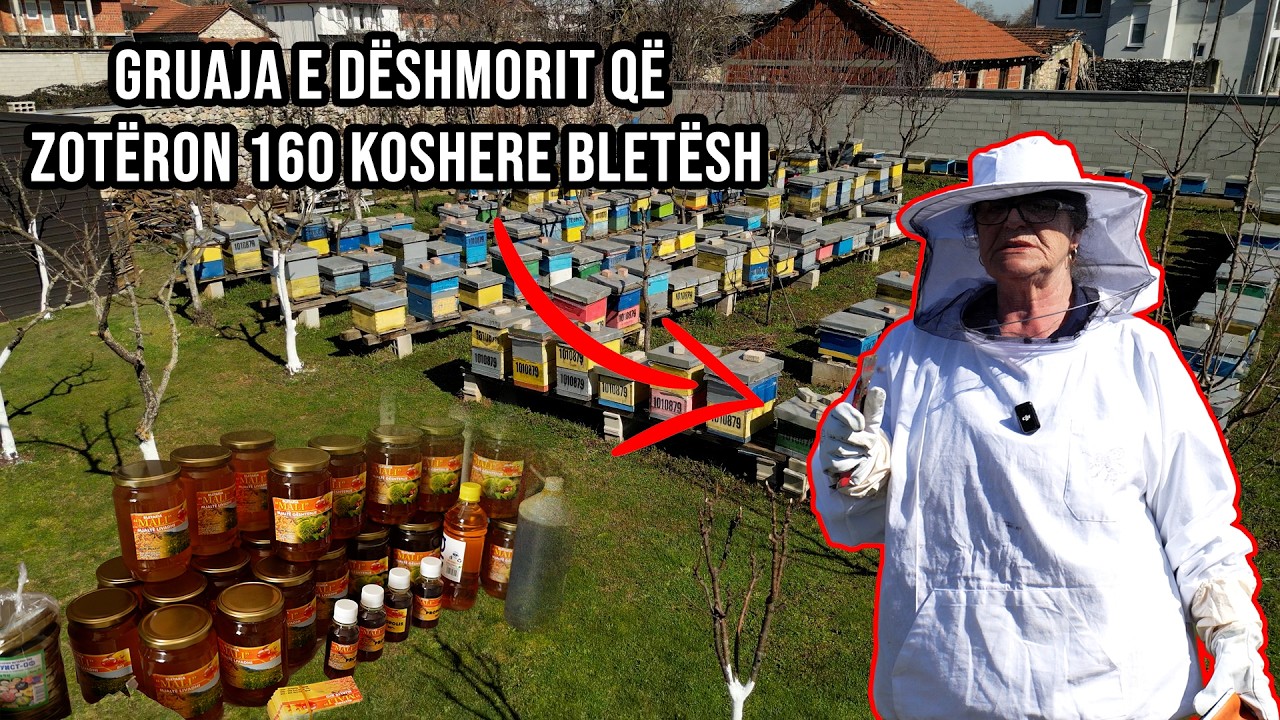 Gruaja e dëshmorit që nisi me 4 koshere bletësh: Nën 800kg nuk mbes, prej Iuftës jam marrë me bletë