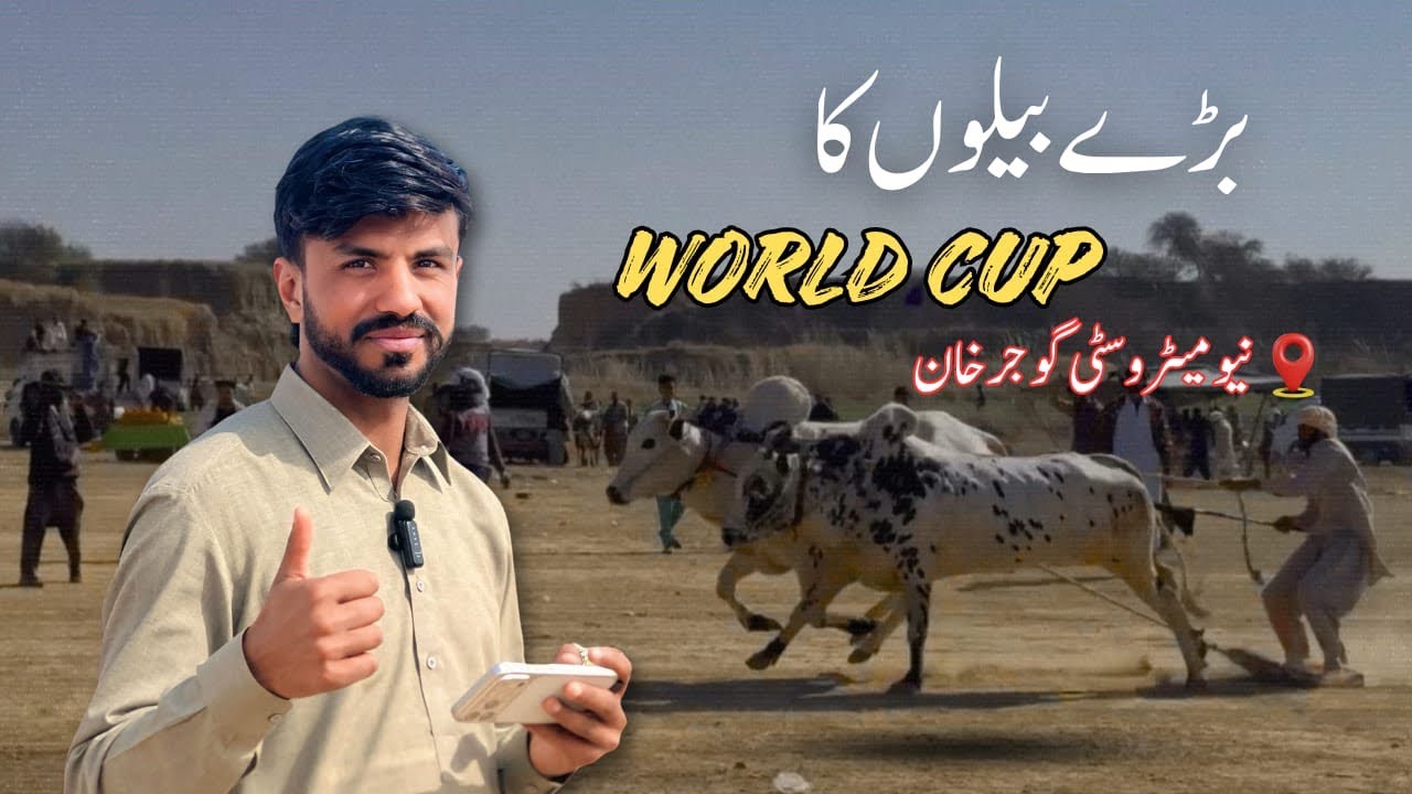 Bull Race New Metro City Gujar Khan | Pothwari Vibes #fypシ゚viral 