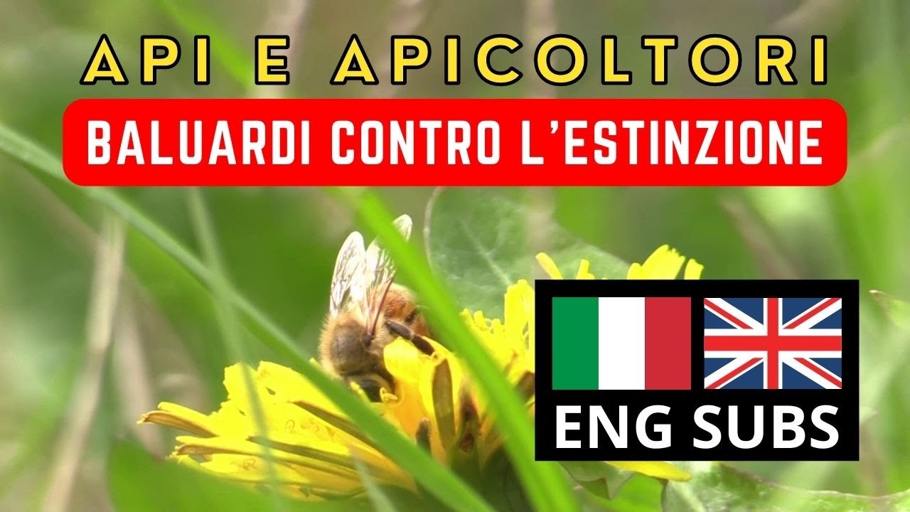 Api e Apicoltori: baluardi contro l'estinzione!