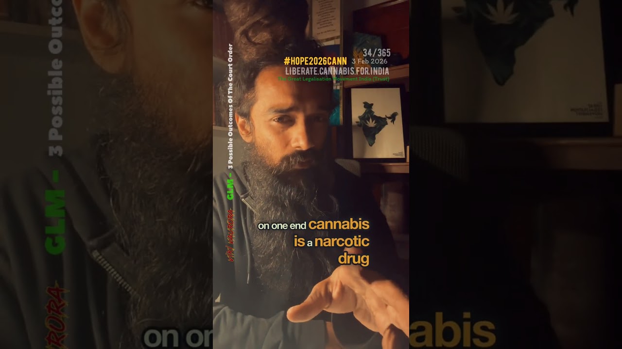 3 possible outcomes for upcoming Legalisation. 