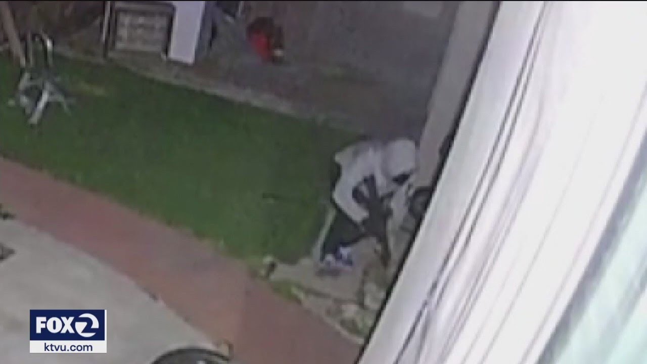 $20K in cash, pups stolen in San Bruno armed home invasion
