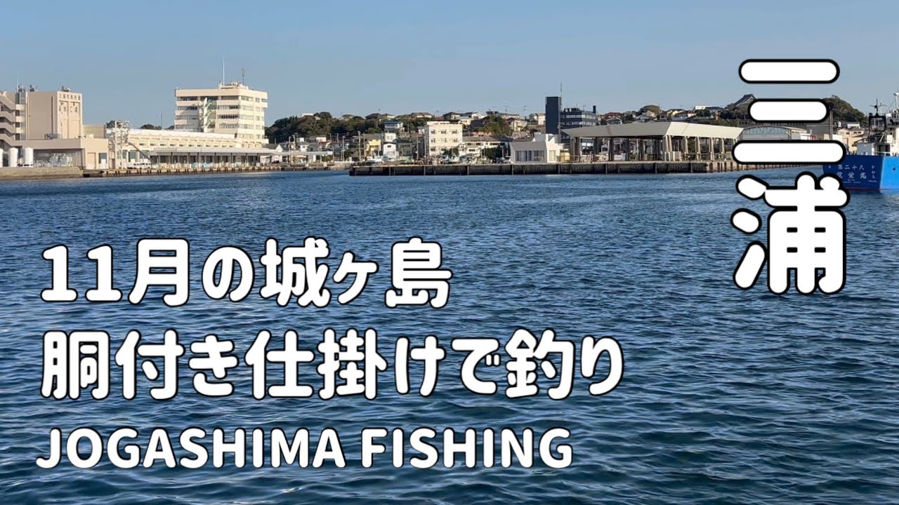 【釣り】11月の城ヶ島 胴付き仕掛けで釣り〜何が釣れる？〜