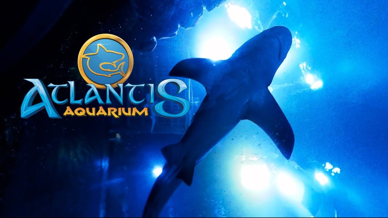 Atlantis Aquarium Madrid - CC Xanadú